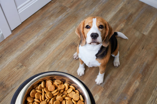 Why Reward Based Training is Good